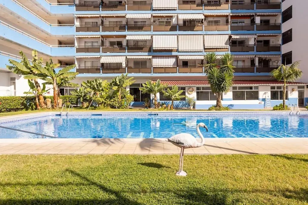 Comodo Estudio Playa Jardin Apartment Puerto de la Cruz  Spain